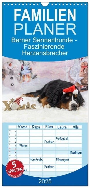 Familienplaner 2025 - Berner Sennenhunde - Faszinierende Herzensbrecher mit 5 Spalten (Wandkalender, 21 x 45 cm) CALVENDO - Jana K. Fotografie