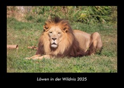 Cover-Bild zum Titel 'Löwen in der Wildnis 2025 Fotokalender DIN A3' von 'Tobias Becker'