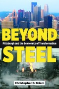 Cover-Bild zum Titel 'Beyond Steel' von 'Christopher P Briem'