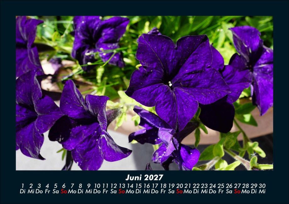 InsideView 10