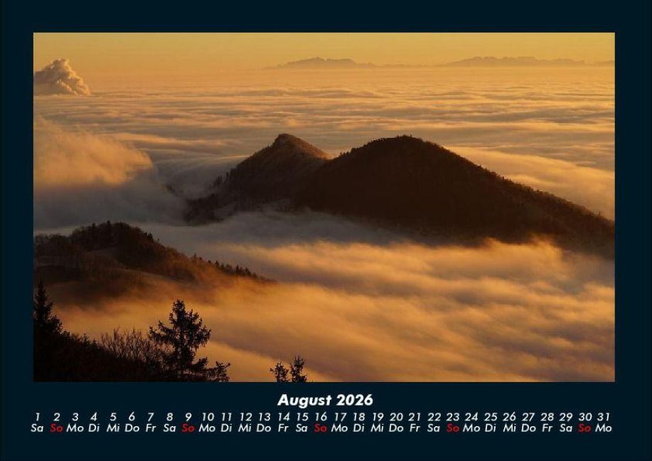 InsideView 12