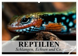 Reptilien Schlangen, Echsen und Co. (Wandkalender 2026 DIN A2 quer), CALVENDO Monatskalender - Elisabeth Stanzer