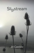 Cover-Bild zum Titel 'Slipstream' von 'Jill Castelo'