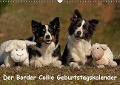 Cover-Bild zum Titel 'Der Border Collie Geburtstagskalender (Wandkalender immerwährend DIN A3 quer)' von 'Tina Mauersberger'