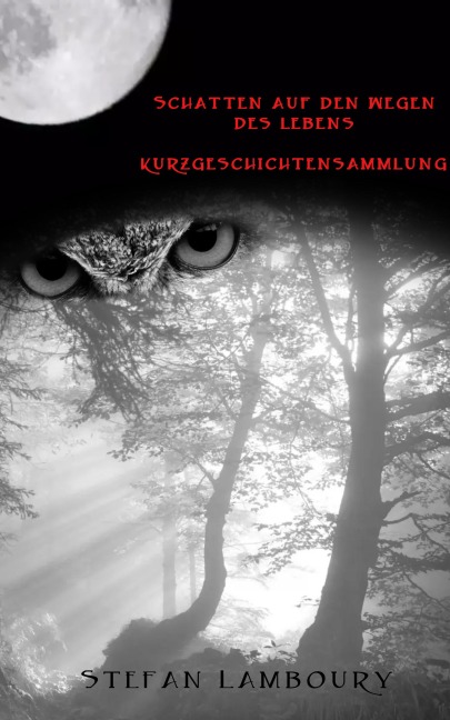 Schatten auf den Wegen des Lebens - Stefan Lamboury