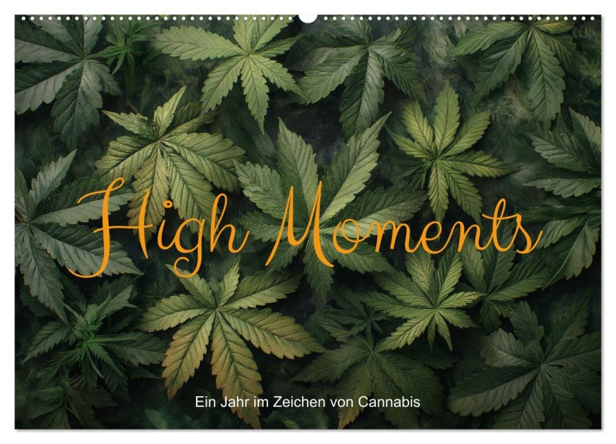 High Moments - Ein Jahr im Zeichen von Cannabis (Wandkalender 2026 DIN A2 quer), CALVENDO Monatskalender - Artefacti Artefacti