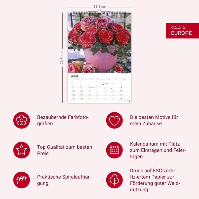 InsideView 13