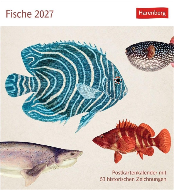 Fische Postkartenkalender 2027 - Postkartenkalender mit 53 historischen Zeichnungen - 