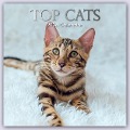 Top Cats - Top-Katzen 2024 - 16-Monatskalender - Gifted Stationery Co. Ltd