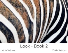 Cover-Bild zum Titel 'Look - Book 2' von 'Zaida Stefano, Viola Stefano'