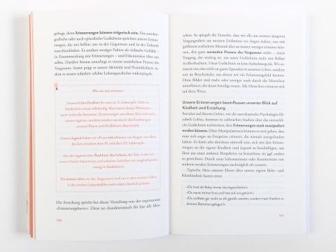 InsideView 4