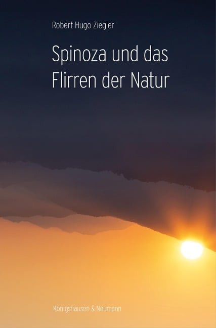 Spinoza und das Flirren der Natur - Robert Hugo Ziegler