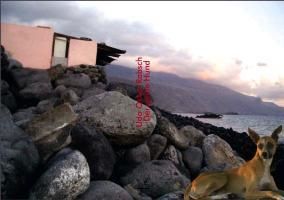 InsideView 1