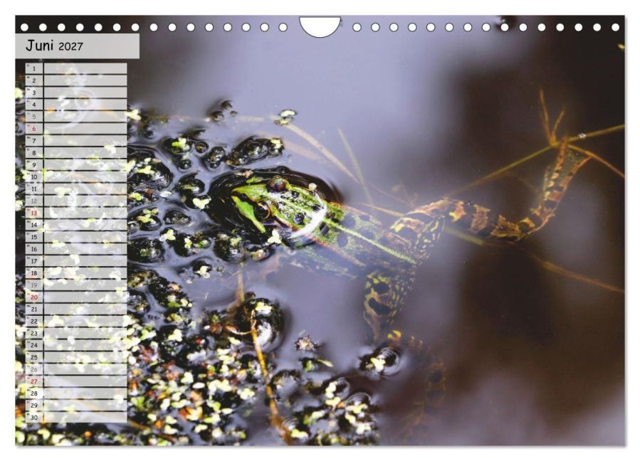 InsideView 11