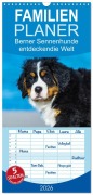 Familienplaner 2026 - Seebärchen entdecken die Welt - Berner Sennenhunde mit 5 Spalten (Wandkalender, 21 x 45 cm) CALVENDO - Sigrid Starick