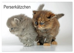 Cover-Bild zum Titel 'Perserkätzchen (Wandkalender 2026 DIN A2 quer), CALVENDO Monatskalender' von 'Klaus Eppele'