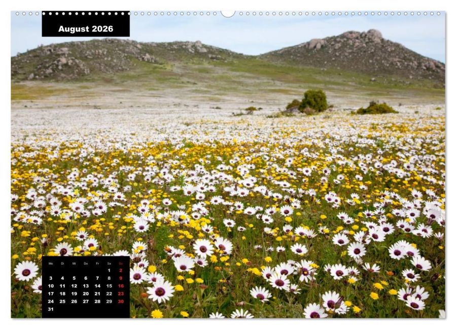 InsideView 13