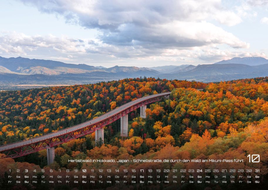InsideView 10