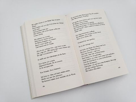 InsideView 6