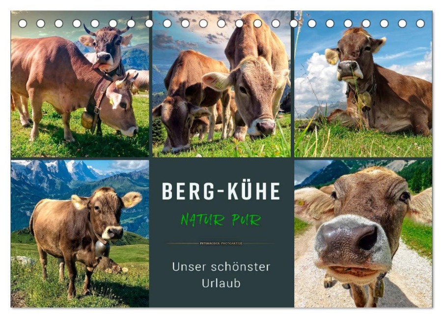 Berg-Kühe, Natur pur - unser schönster Urlaub (Tischkalender 2026 DIN A5 quer), CALVENDO Monatskalender - Peter Roder