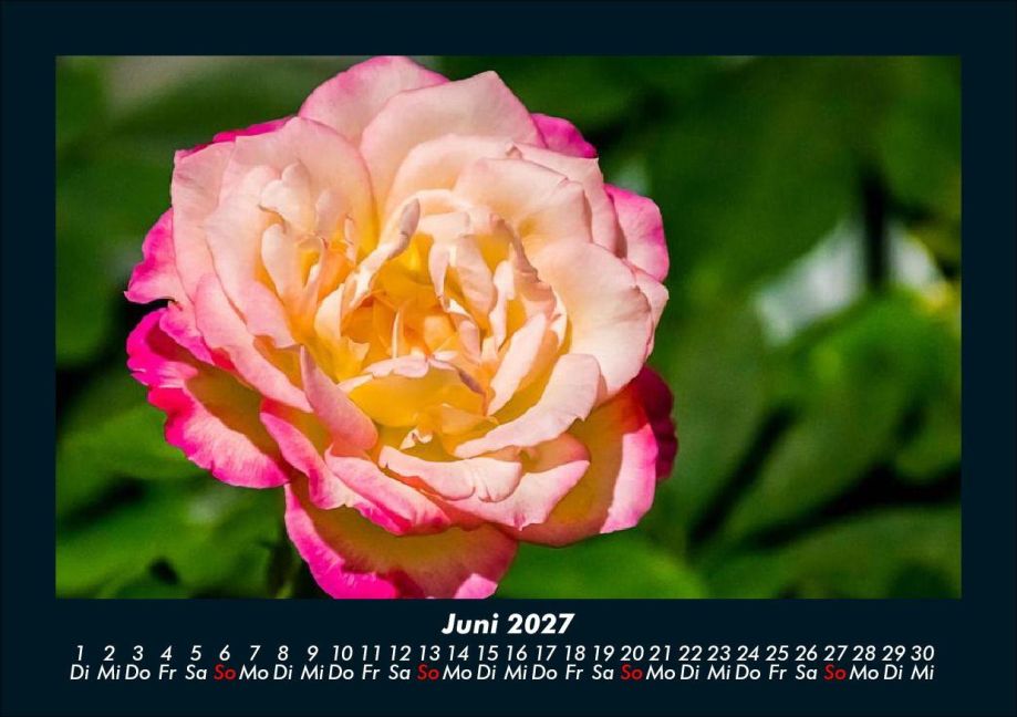InsideView 10