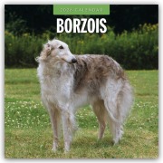 Borzois - Barsoi - Barzaia - Russischer Wolfshund 2026 - 16-Monatskalender - Robin Red