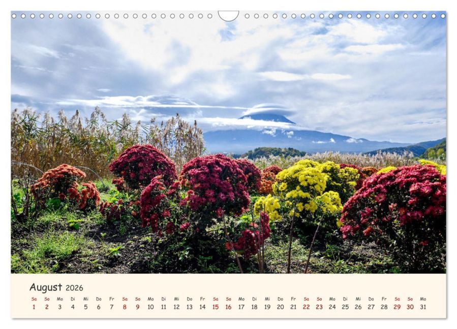 InsideView 13
