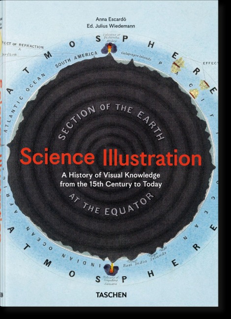 Science Illustration - Anna Escardó