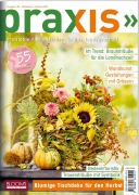 Cover-Bild zum Titel 'PRAXIS Nr. 125' von 'Team PRAXIS'
