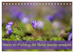 Cover-Bild zum Titel 'Wenn im Frühling die Natur wieder erwacht (Tischkalender 2026 DIN A5 quer), CALVENDO Monatskalender' von 'Monika Scheurer'