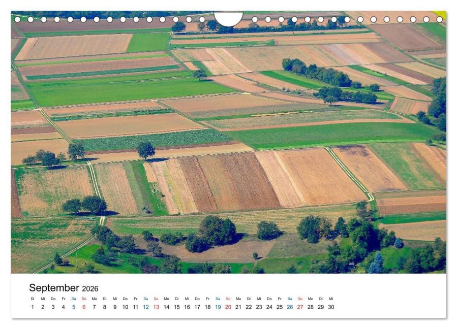 InsideView 14