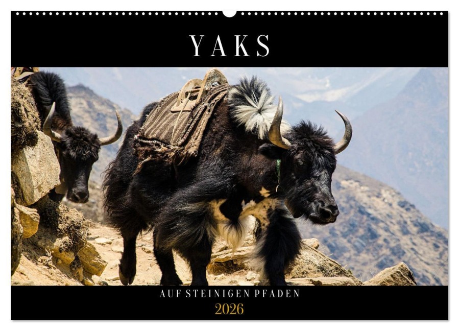 Yaks - auf steinigen Pfaden (Wandkalender 2026 DIN A2 quer), CALVENDO Monatskalender - Renate Utz