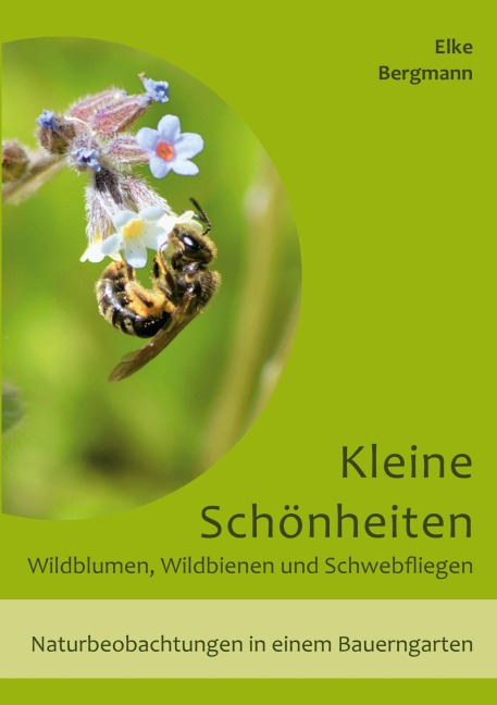 Kleine Schönheiten - Wildblumen, Wildbienen und Schwebfliegen - Elke Bergmann
