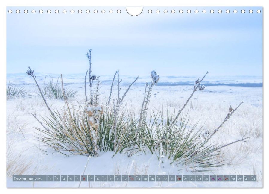 InsideView 4