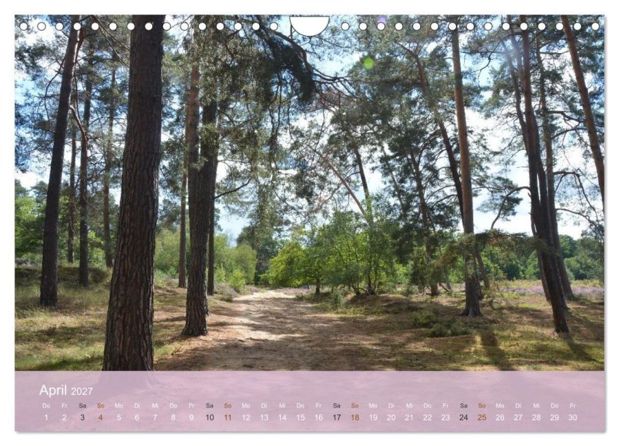 InsideView 9