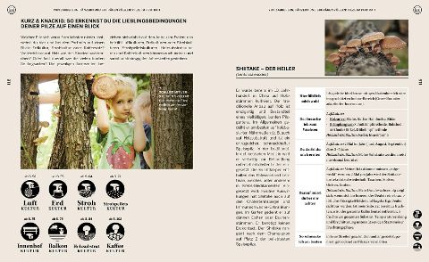 InsideView 7