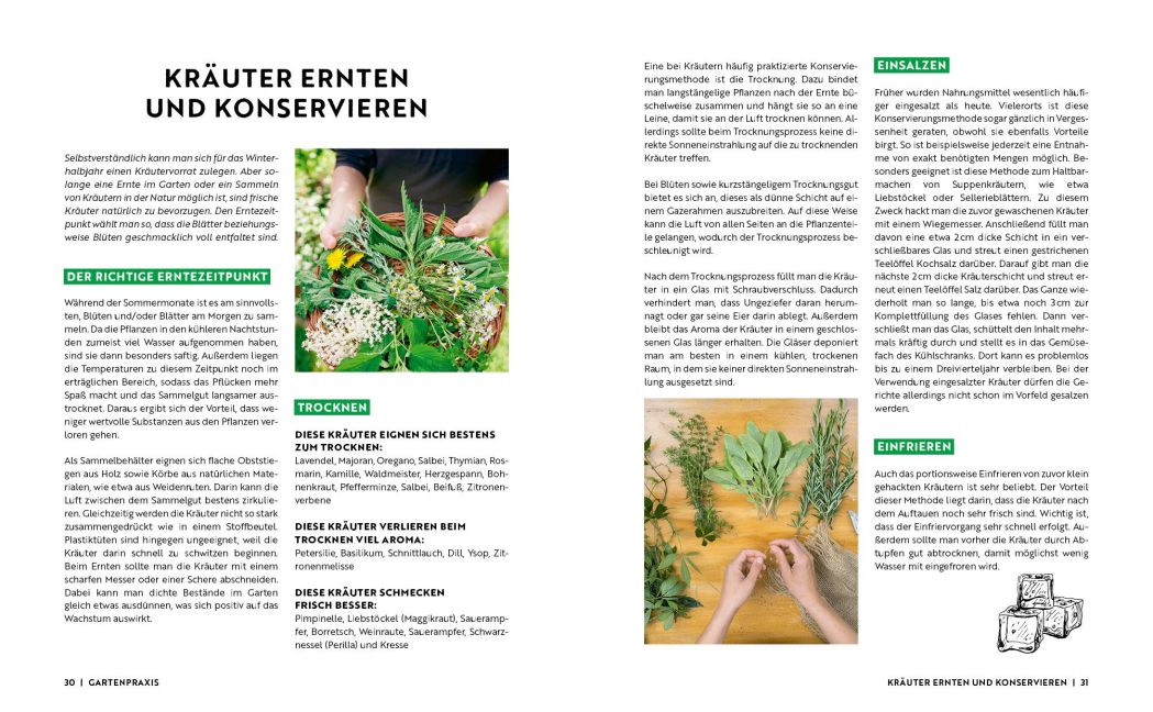 InsideView 5