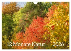 12 Monate Natur (Wandkalender 2026 DIN A4 quer), CALVENDO Monatskalender - Sergej Schmidt