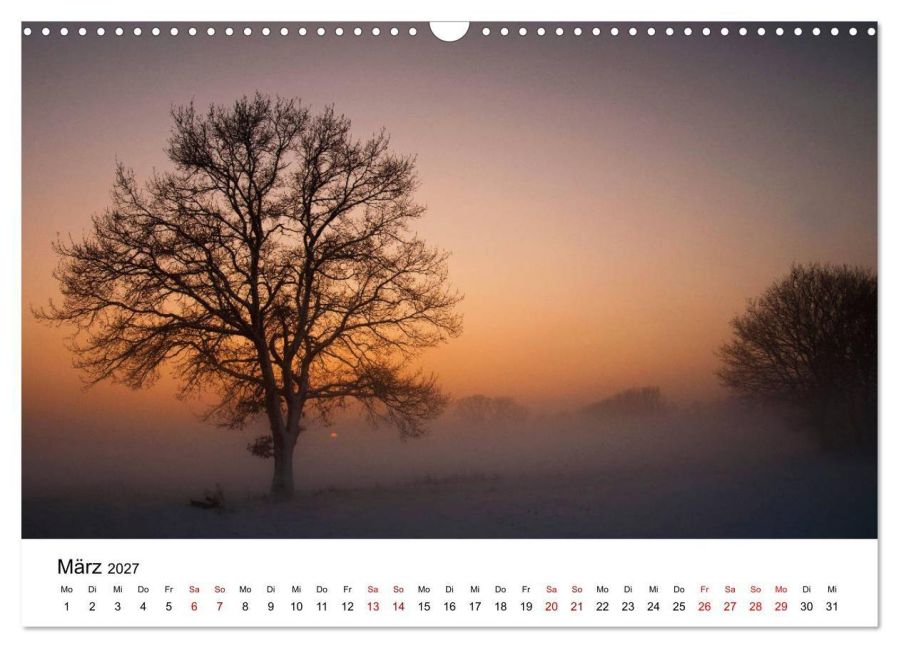 InsideView 8