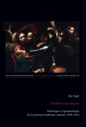 Cover-Bild zum Titel 'Ténèbres sans leçons' von 'Itay Sapir'