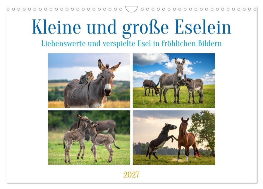 Kleine und große Eselein (Wandkalender 2027 DIN A3 quer), CALVENDO Monatskalender - Kerstin Waurick