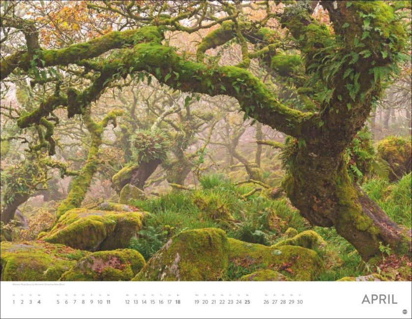 InsideView 4