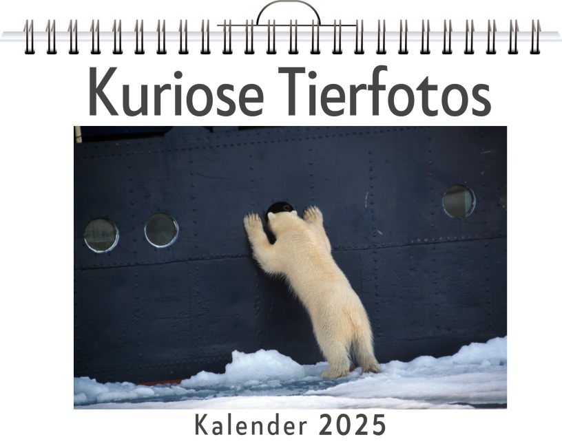 Kuriose Tierfotos - Lucas Schmitt