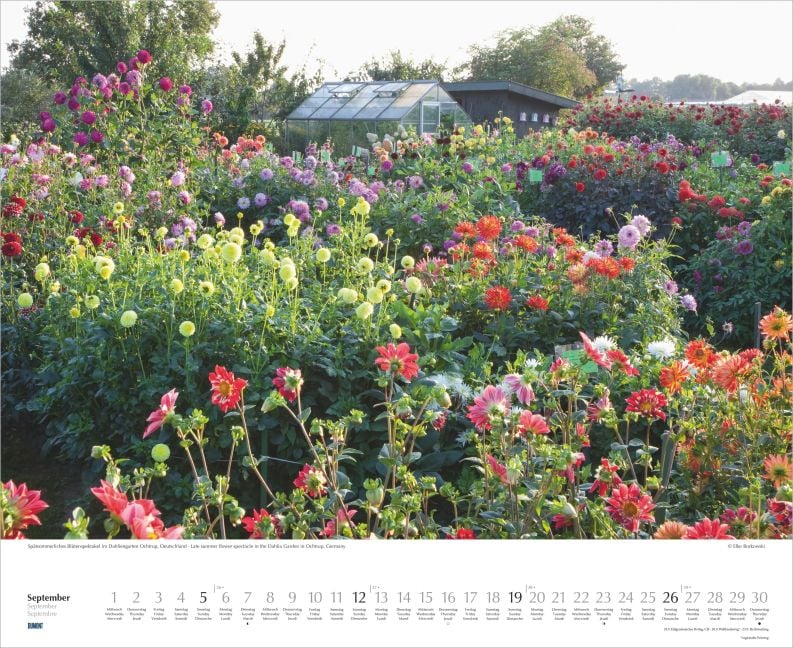 InsideView 5