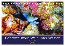 Cover-Bild zum Titel 'Geheimnisvolle Welt unter Wasser - Nachts am Riff (Tischkalender 2026 DIN A5 quer), CALVENDO Monatskalender' von 'Andrea Hess'