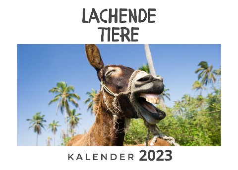 Lachende Tiere - Bibi Hübsch