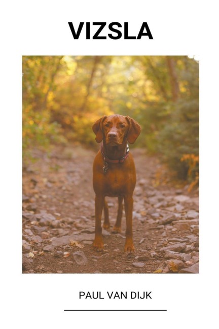 Vizsla - Paul van Dijk