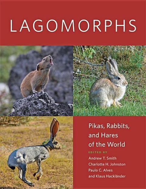 Lagomorphs - 