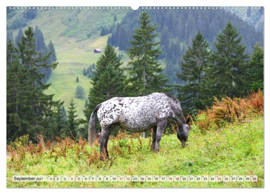 InsideView 13