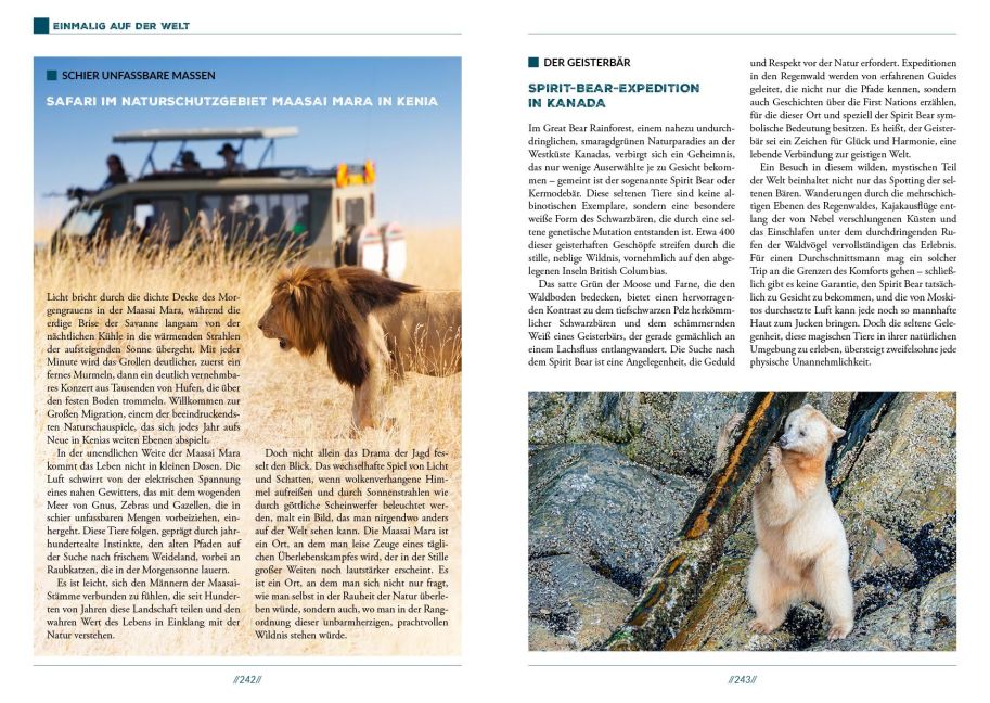 InsideView 7
